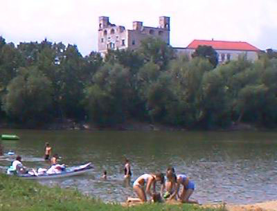 most.JPG (28926 bytes)