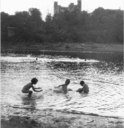 regen.JPG (41258 bytes)